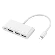 75216 4 in 1 8 Pin to HDMI + 8 Pin Charging + 2 USB Ports HD Video Converter - Converter & Adapter by PMC TechLife | Online Shopping South Africa | PMC TechLife | Buy Now Pay Later Mobicred