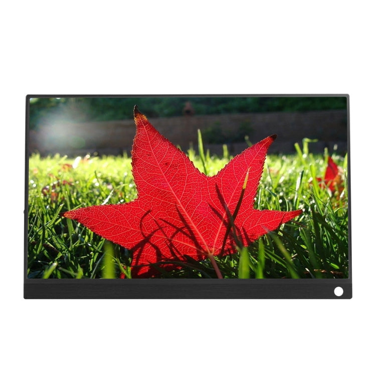 15.6 inch 1080P 178 Degree Wide Angle HD Portable IPS LED Display Monitor - 15 inch Above by PMC TechLife | Online Shopping South Africa | PMC TechLife | Buy Now Pay Later Mobicred
