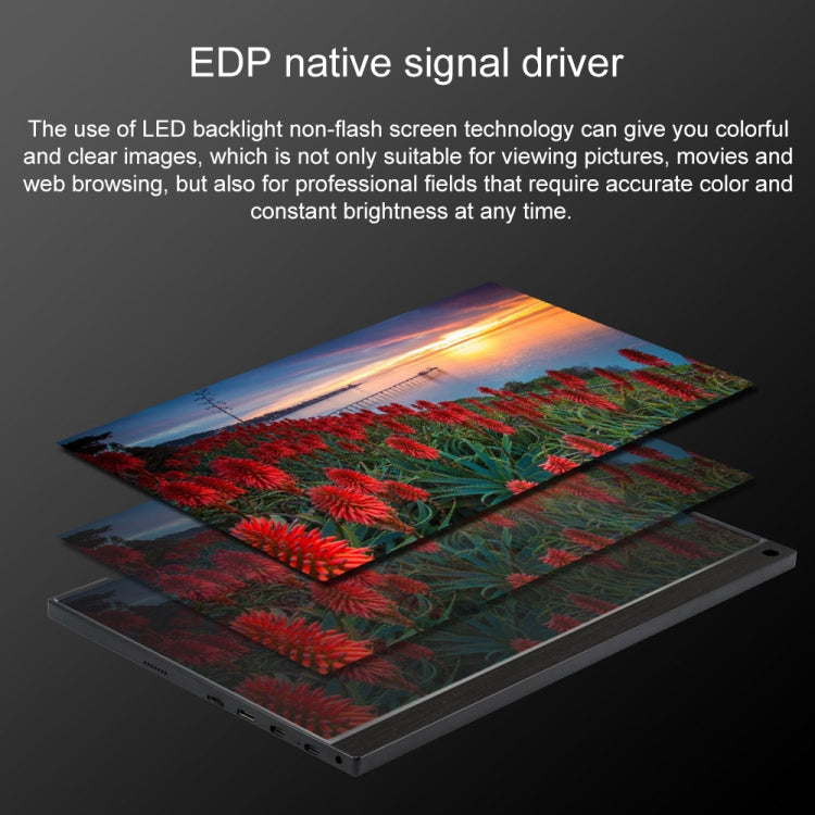 15.6 inch 1080P 178 Degree Wide Angle HD Portable IPS LED Display Monitor - 15 inch Above by PMC TechLife | Online Shopping South Africa | PMC TechLife | Buy Now Pay Later Mobicred