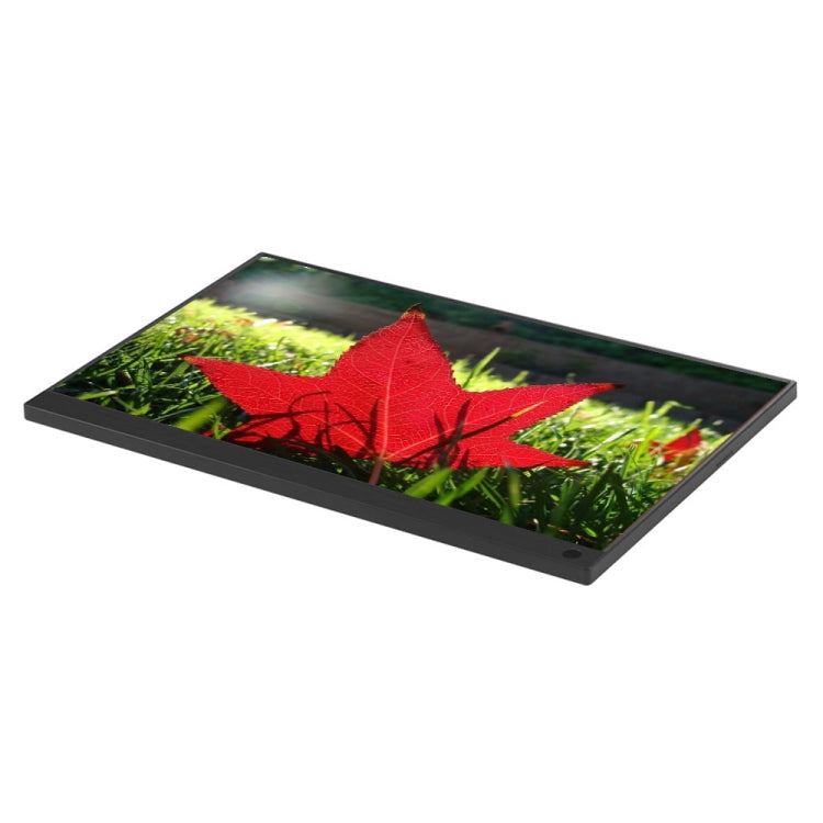 15.6 inch 1080P 178 Degree Wide Angle HD Portable IPS LED Display Monitor - 15 inch Above by PMC TechLife | Online Shopping South Africa | PMC TechLife | Buy Now Pay Later Mobicred