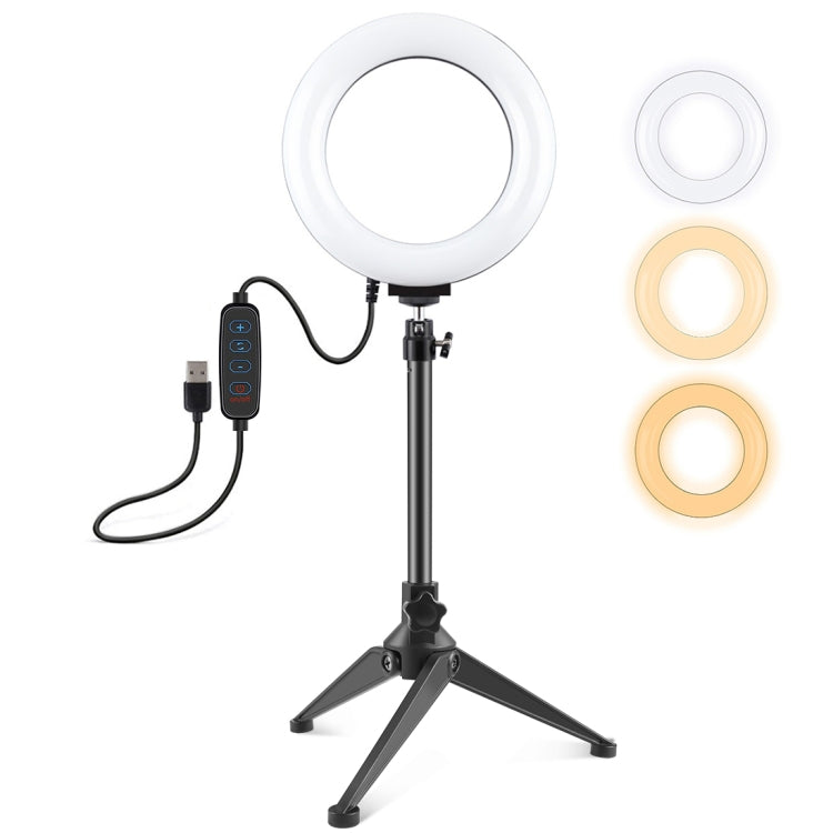 PULUZ 6.2 inch 16cm USB 3 Modes Dimmable LED Ring Vlogging Photography Video Lights + Desktop Tripod Holder with Cold Shoe Tripod Ball Head - Ring Light by PULUZ | Online Shopping South Africa | PMC TechLife | Buy Now Pay Later Mobicred