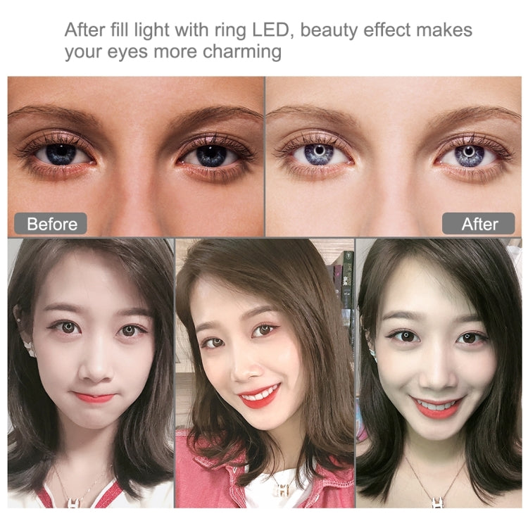 PULUZ 11.8 inch 30cm RGBW Light + 1.65m Mount + Dual Phone Brackets Curved Surface RGBW Dimmable LED Ring Selfie Vlogging Light  Live Broadcast Kits with Cold Shoe Tripod Adapter & Phone Clamp & Remote Control(Black)