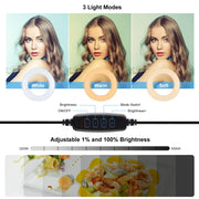PULUZ 7.9 inch 20cm Ring Selfie Light + Monitor Clip 3 Modes USB Dimmable Dual Color Temperature LED Curved Vlogging Photography Video Lights Kits with Phone Clamp(Black)