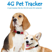 RF-V43 B Style IP67 Water-resistant GPS + LBS + WiFi Pet Locator Pet Collar Tracking Device For North America/South America(Black)
