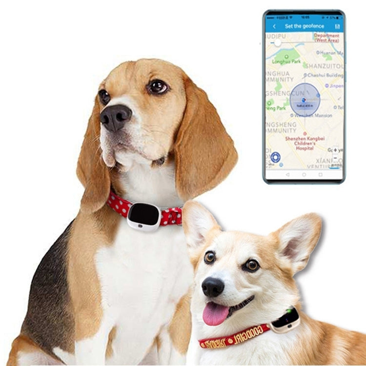 RF-V43 B Style IP67 Waterproof GPS + LBS + WiFi Pet Locator Pet Collar Tracking Device For North America/South America(White) - Pet Tracker by PMC TechLife | Online Shopping South Africa | PMC TechLife | Buy Now Pay Later Mobicred