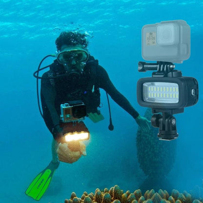 PULUZ 20 LEDs 40m Waterproof IPX8 Studio Light Video & Photo Light with Hot Shoe Base Adapter & Quick Release Buckle & Long Screw & 2 x Filter Plates for GoPro HERO10 Black / HERO9 Black / HERO8 Black ... n /4 /3+ /3 /2 /1, Xiaoyi and Other Action Cameras - free shipping - PMC Jewellery - Order now!