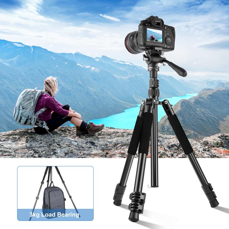 PU274B_5.jpg@5f9e0d661bfc60f75819029108bf6b03