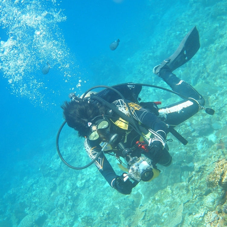 PULUZ Dual Handle Aluminium Tray Stabilizer with 2 x Dual Ball Aluminum Alloy Clamp & 2 x 7 inch Floating Arm for Underwater Camera Housings(Black) - free shipping - PMC Jewellery - Order now!