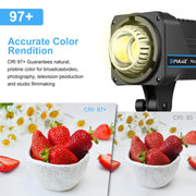 PULUZ 220V 120W Studio Video Light Dual Color Temperature Built-in Dissipate Heat System with Remote Control(EU Plug)