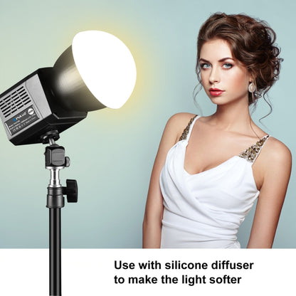 PULUZ 60W Studio Video Light 2500K-6500K Dual Color Temperature Professional Photography Fill Light (Black) - free shipping - PMC Jewellery - Order now!