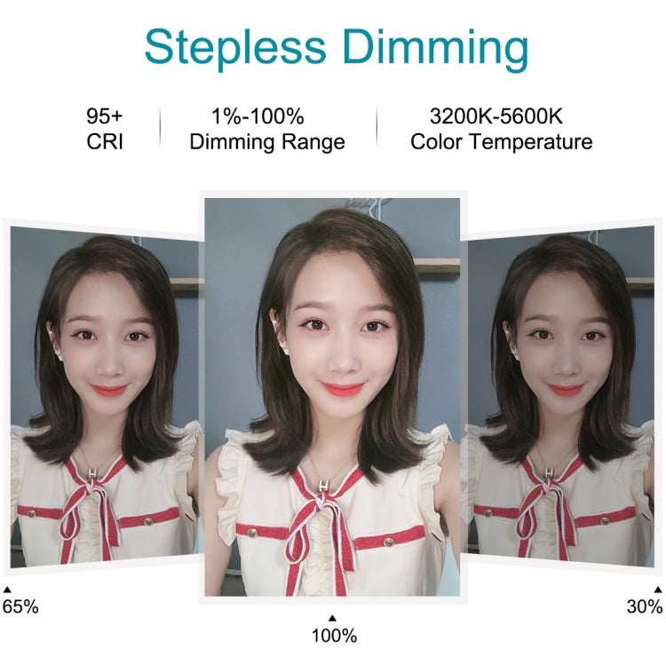 PULUZ 7.9 inch 20cm USB 3 Modes Dimmable Dual Color Temperature LED Curved Light Ring Vlogging Selfie Photography Video Lights with Phone Clamp(Black) - Ring Light by PULUZ | Online Shopping South Africa | PMC TechLife | Buy Now Pay Later Mobicred