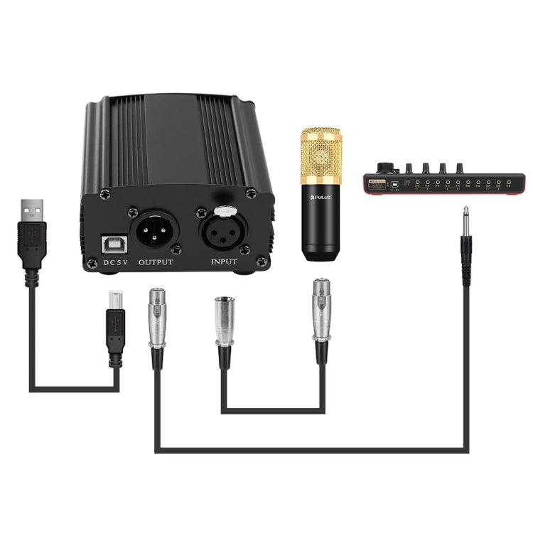 PULUZ Condenser Microphone Studio Broadcast Professional Singing Microphone Kits with Suspension Scissor Arm & Metal Shock Mount & USB Sound Card, Power By 48V(Gold)