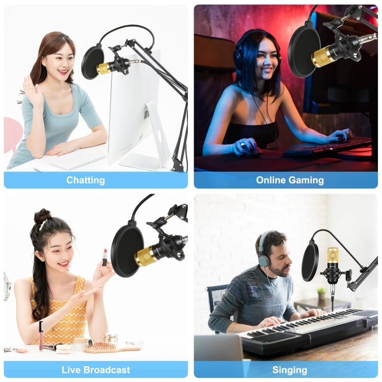 PULUZ Condenser Microphone Studio Broadcast Professional Singing Microphone Kits with Suspension Scissor Arm & Metal Shock Mount & USB Sound Card, Power By 48V(Gold)