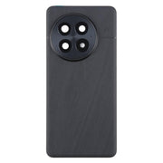 For OnePlus 13 CPH2655 CPH2653 PJZ110 Original Glass Battery Back Cover with Camera Lens(Matte Black)