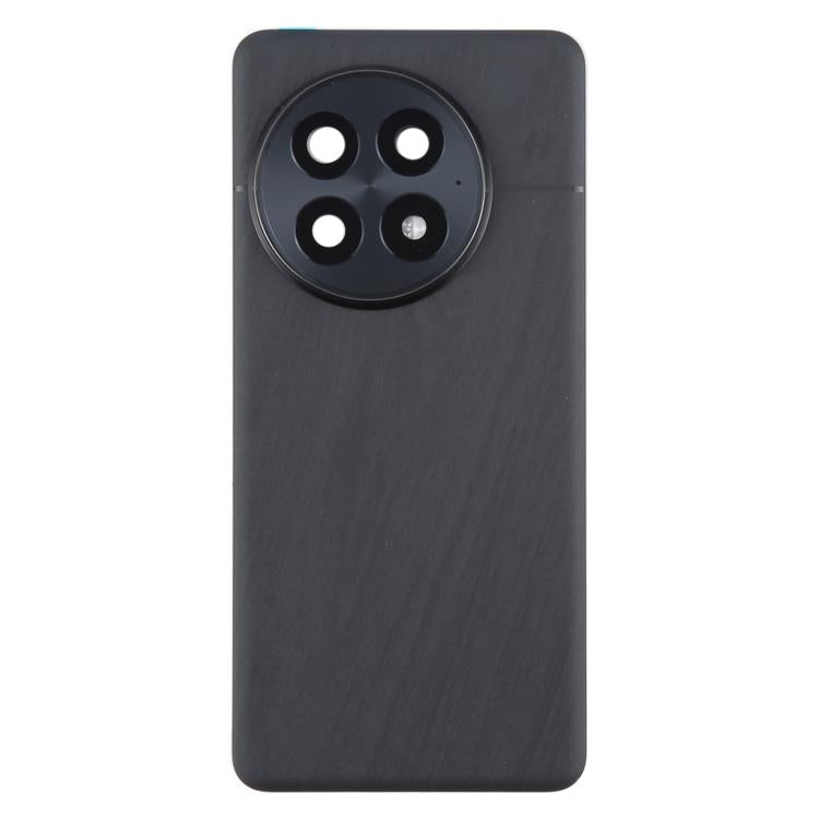 For OnePlus 13 CPH2655 CPH2653 PJZ110 Original Glass Battery Back Cover with Camera Lens(Matte Black)