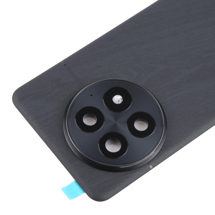For OnePlus 13 CPH2655 CPH2653 PJZ110 Original Glass Battery Back Cover with Camera Lens(Matte Black)