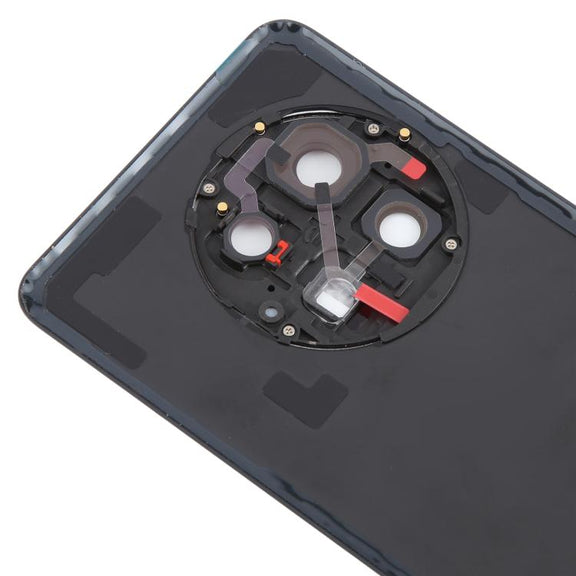 For OnePlus 13 CPH2655 CPH2653 PJZ110 Original Glass Battery Back Cover with Camera Lens(Matte Black)