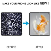 RPS0743_5.jpg@ae8985888def29263d34b391cb5b190c