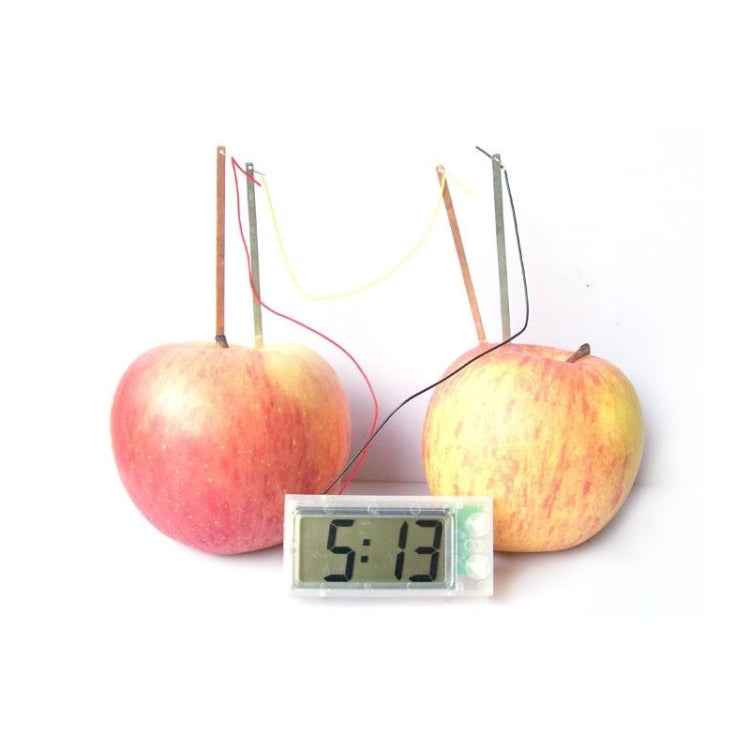 DIY Novel Green Science Potato Digital Clock Educational Kit with 2 inch LCD Screen (Potato NOT Included)(White) - Alarm Clocks by PMC TechLife | Online Shopping South Africa | PMC TechLife | Buy Now Pay Later Mobicred