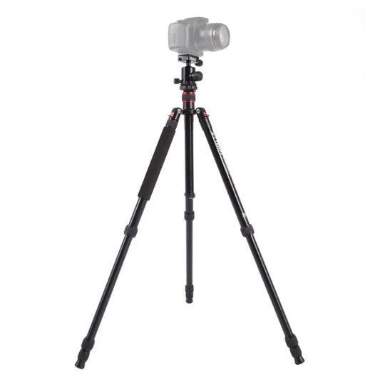 Triopo MT-2504C Adjustable Portable Aluminum Tripod (Gold) with NB-1S Ball Head (Black) for Canon Nikon Sony DSLR Camera - free shipping - PMC Jewellery - Order now!