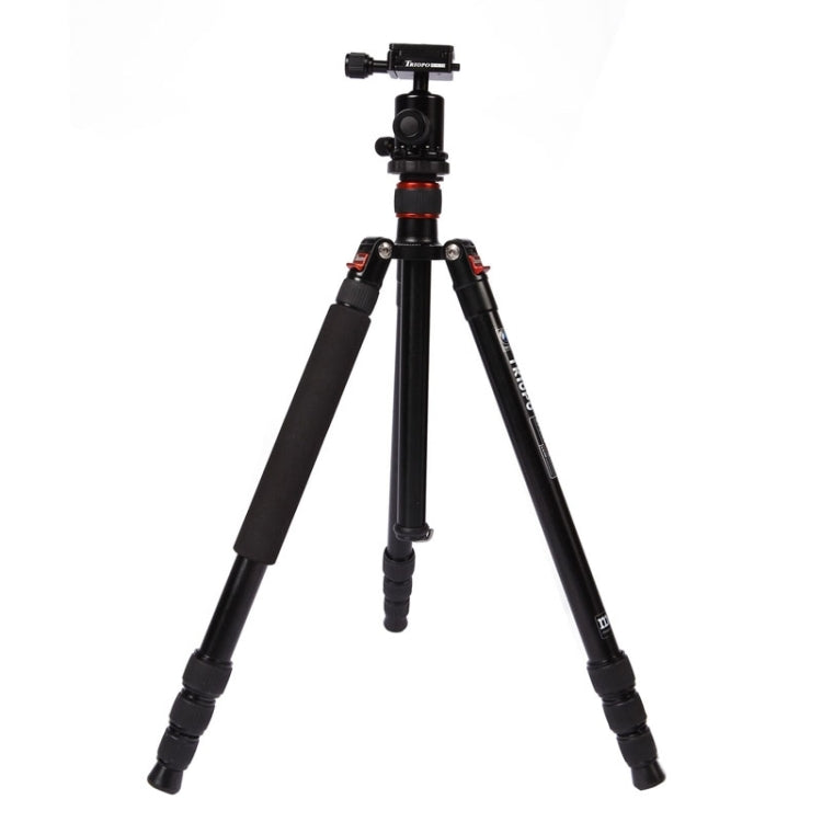 Triopo MT-2504C Adjustable Portable Aluminum Tripod (Gold) with NB-1S Ball Head (Black) for Canon Nikon Sony DSLR Camera - free shipping - PMC TechLife - Order now!