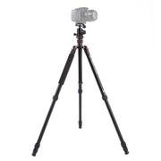 Triopo MT-2504C Adjustable Portable Aluminum Tripod (Gold) with NB-1S Ball Head (Black) for Canon Nikon Sony DSLR Camera