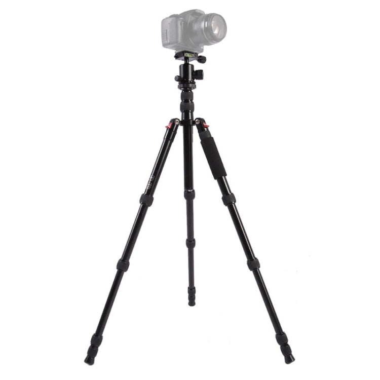 Triopo MT-2505C Adjustable Portable Aluminum Tripod (Gold) with NB-1S Ball Head (Black) for Canon Nikon Sony DSLR Camera - free shipping - PMC TechLife - Order now!