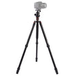 Triopo MT-2804C Adjustable Portable Aluminum Tripod with NB-2S Ball Head for Canon Nikon Sony DSLR Camera(Black) - free shipping - PMC TechLife - Order now!
