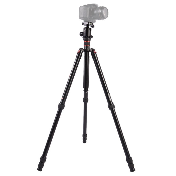 Triopo MT-2804C Adjustable Portable Aluminum Tripod with NB-2S Ball Head for Canon Nikon Sony DSLR Camera(Black) - free shipping - PMC Jewellery - Order now!