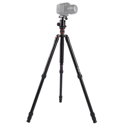 Triopo MT-2804C Adjustable Portable Aluminum Tripod with NB-2S Ball Head for Canon Nikon Sony DSLR Camera(Black) - free shipping - PMC Jewellery - Order now!