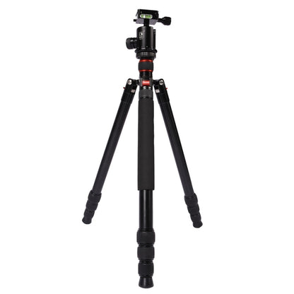 Triopo MT-2804C Adjustable Portable Aluminum Tripod with NB-2S Ball Head for Canon Nikon Sony DSLR Camera(Black) - free shipping - PMC Jewellery - Order now!