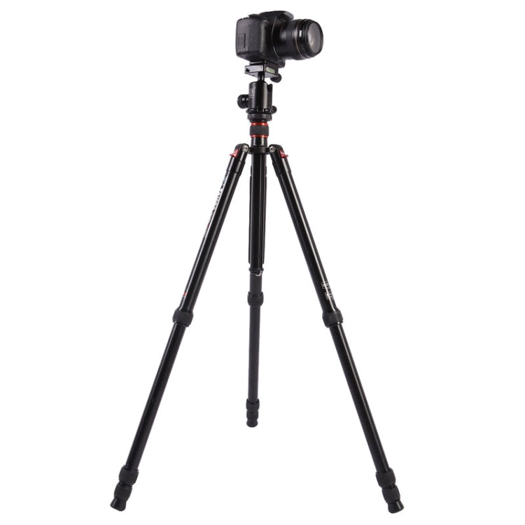 Triopo MT-2804C Adjustable Portable Aluminum Tripod with NB-2S Ball Head for Canon Nikon Sony DSLR Camera(Black) - free shipping - PMC Jewellery - Order now!