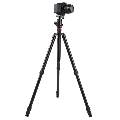 Triopo MT-2804C Adjustable Portable Aluminum Tripod with NB-2S Ball Head for Canon Nikon Sony DSLR Camera(Black) - free shipping - PMC Jewellery - Order now!