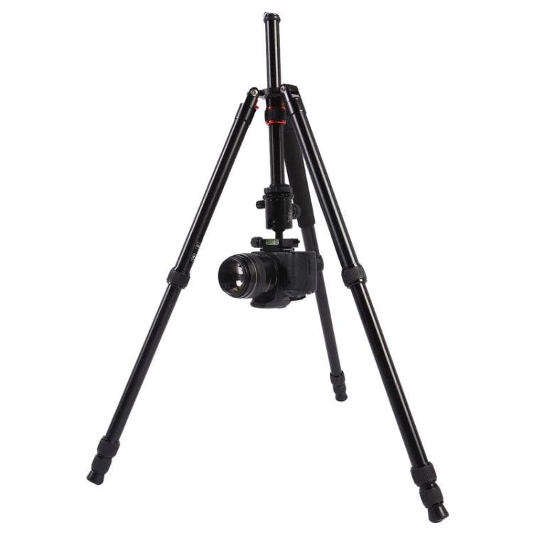 Triopo MT-2804C Adjustable Portable Aluminum Tripod with NB-2S Ball Head for Canon Nikon Sony DSLR Camera(Black) - free shipping - PMC Jewellery - Order now!