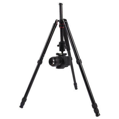 Triopo MT-2804C Adjustable Portable Aluminum Tripod with NB-2S Ball Head for Canon Nikon Sony DSLR Camera(Black) - free shipping - PMC Jewellery - Order now!