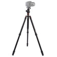 Triopo MT-2804C Adjustable Portable Aluminum Tripod (Gold) with NB-2S Ball Head (Black) for Canon Nikon Sony DSLR Camera - free shipping - PMC TechLife - Order now!