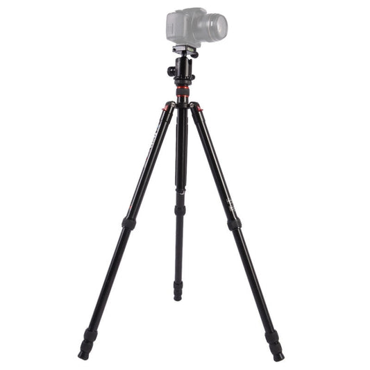 Triopo MT-2804C Adjustable Portable Aluminum Tripod (Gold) with NB-2S Ball Head (Black) for Canon Nikon Sony DSLR Camera - free shipping - PMC Jewellery - Order now!