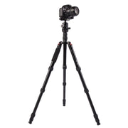 Triopo MT-2805C Adjustable Portable Aluminum Tripod with NB-2S Ball Head for Canon Nikon Sony DSLR Camera(Black)