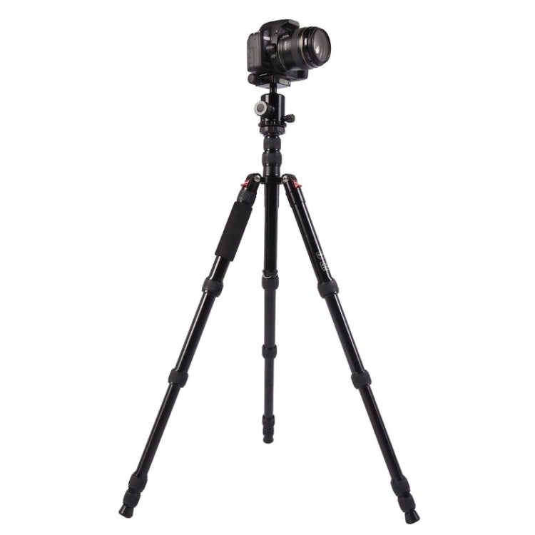 Triopo MT-2805C Adjustable Portable Aluminum Tripod with NB-2S Ball Head for Canon Nikon Sony DSLR Camera(Black)