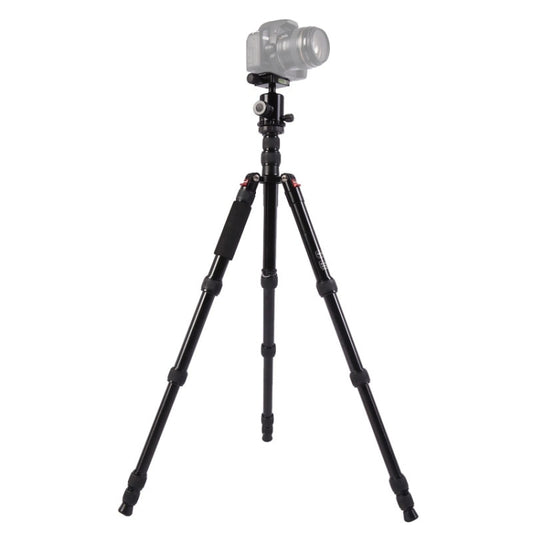Triopo MT-2805C Adjustable Portable Aluminum Tripod (Gold) with NB-2S Ball Head (Black) for Canon Nikon Sony DSLR Camera - free shipping - PMC Jewellery - Order now!