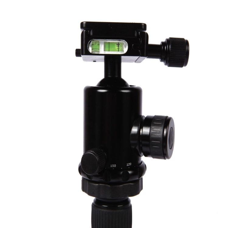 Triopo MT-2805C Adjustable Portable Aluminum Tripod (Gold) with NB-2S Ball Head (Black) for Canon Nikon Sony DSLR Camera - free shipping - PMC TechLife - Order now!