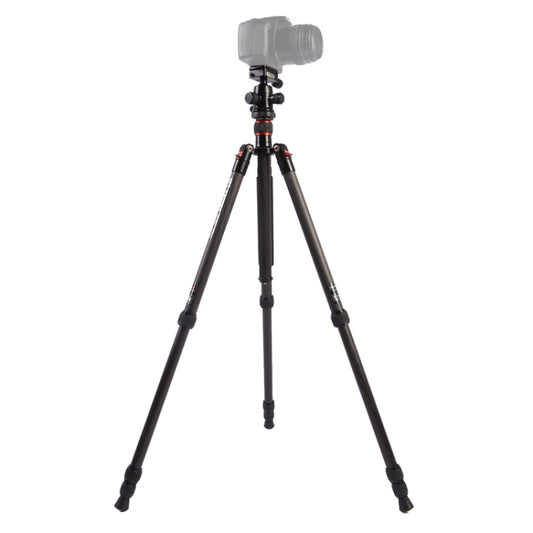 Triopo GT-2504X8.C Adjustable Portable Carbon Fiber Tripod with B-1 Aluminum Ball Head for Canon Nikon Sony DSLR Camera(Black) - free shipping - PMC Jewellery - Order now!
