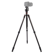 Triopo GT-2504X8.C Adjustable Portable Carbon Fiber Tripod with B-1 Aluminum Ball Head for Canon Nikon Sony DSLR Camera(Black)