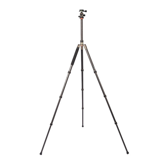 Triopo GT-2504X8.C Adjustable Portable Carbon Fiber Tripod with B-1 Aluminum Ball Head for Canon Nikon Sony DSLR Camera