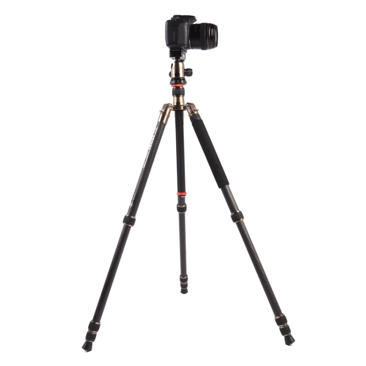 Triopo GT-2504X8.C Adjustable Portable Carbon Fiber Tripod with B-1 Aluminum Ball Head for Canon Nikon Sony DSLR Camera - free shipping - PMC TechLife - Order now!