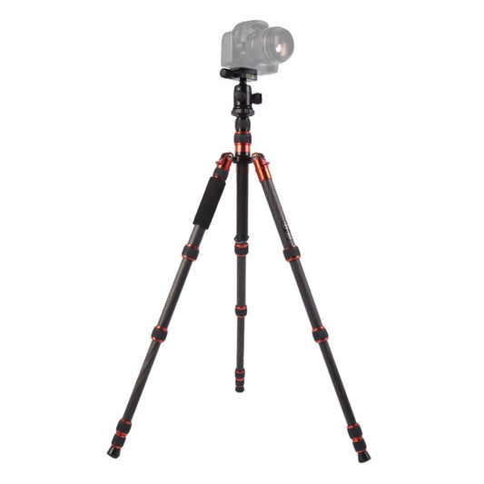 Triopo GT-2505x8.C Adjustable Portable Carbon Fiber Tripod with B-1 Aluminum Ball Head for Canon Nikon Sony DSLR Camera(Black) - free shipping - PMC Jewellery - Order now!