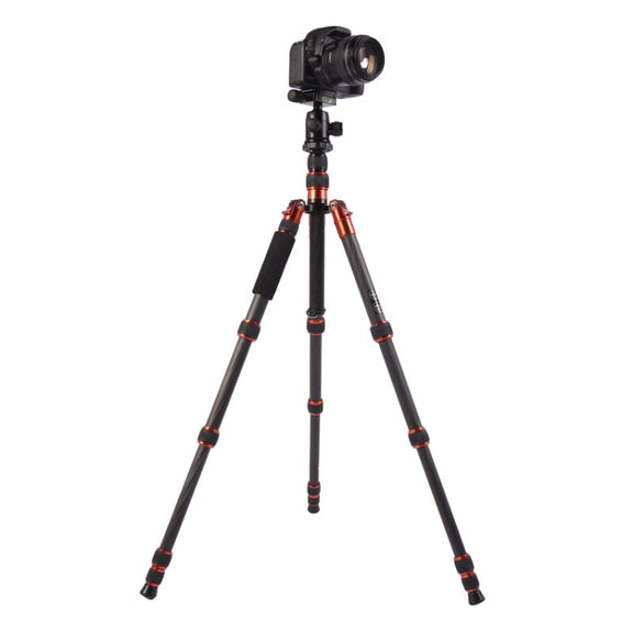 Triopo GT-2505x8.C Adjustable Portable Carbon Fiber Tripod with B-1 Aluminum Ball Head for Canon Nikon Sony DSLR Camera(Black)
