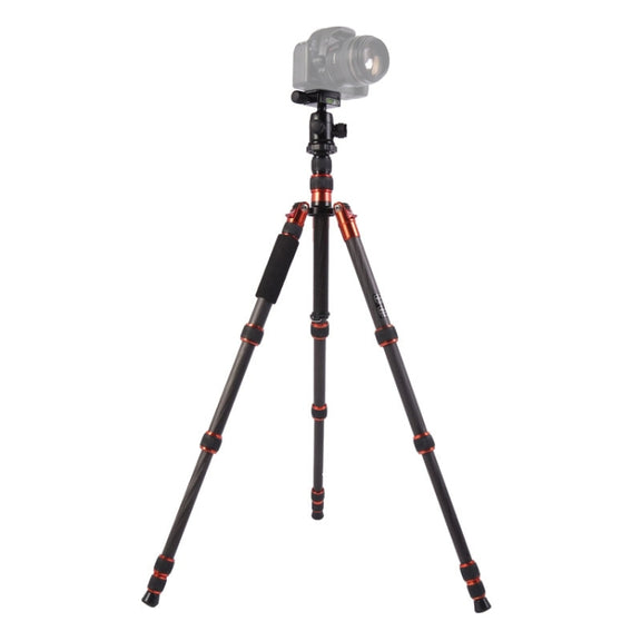 Triopo GT-2505x8.C Adjustable Portable Carbon Fiber Tripod with B-1 Aluminum Ball Head for Canon Nikon Sony DSLR Camera(Black)