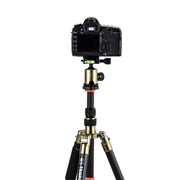 Triopo GT-2505x8.C Adjustable Portable Carbon Fiber Tripod (Gold) with B-1 Aluminum Ball Head (Black) for Canon Nikon Sony DSLR Camera