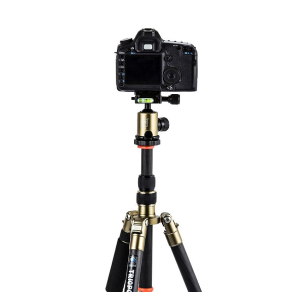 Triopo GT-2505x8.C Adjustable Portable Carbon Fiber Tripod (Gold) with B-1 Aluminum Ball Head (Black) for Canon Nikon Sony DSLR Camera
